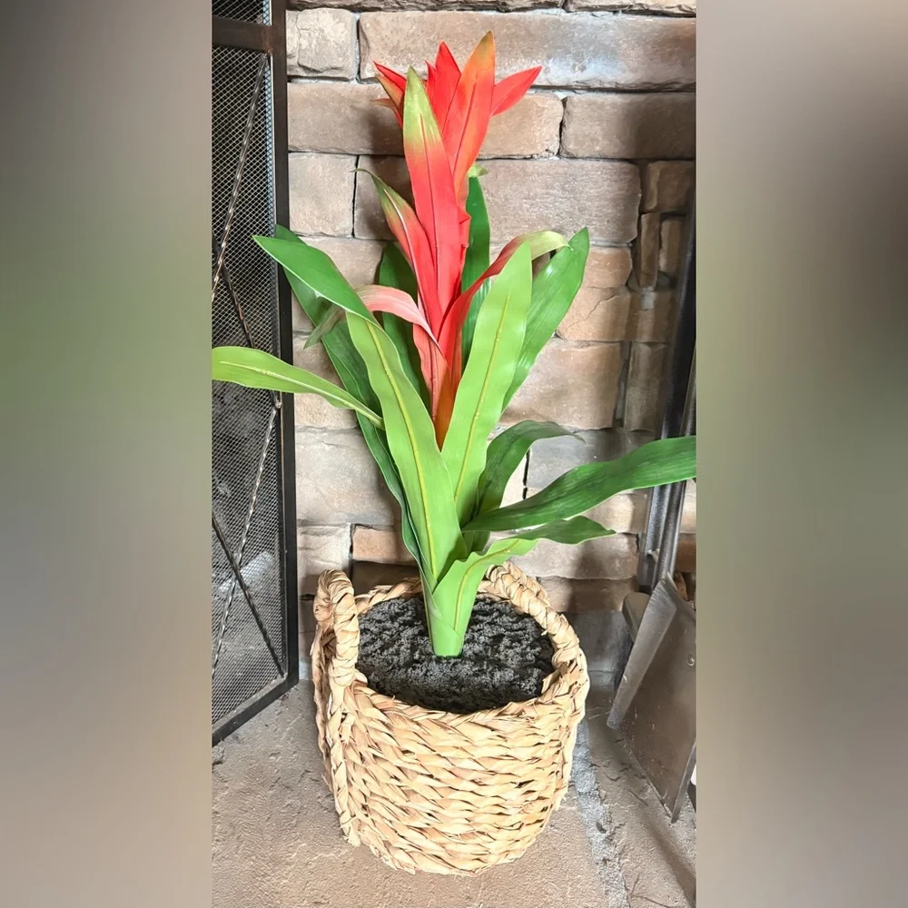 Artificial Bromeliad Plant in Green and Red - Home Accents